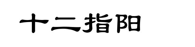 十二指阳
