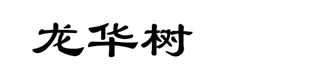 龙华树