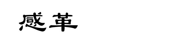 感革