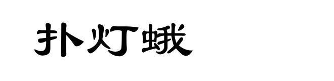 扑灯蛾
