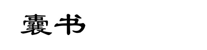 囊书