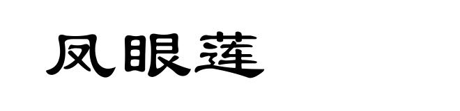 凤眼莲