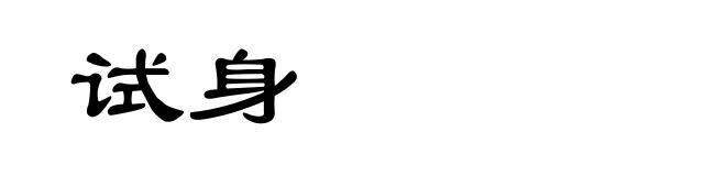 试身