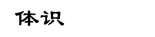 体识