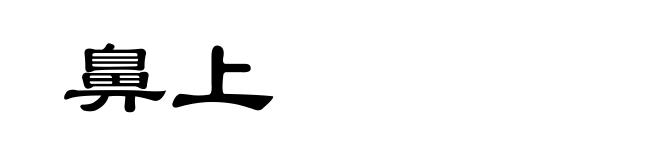 鼻上