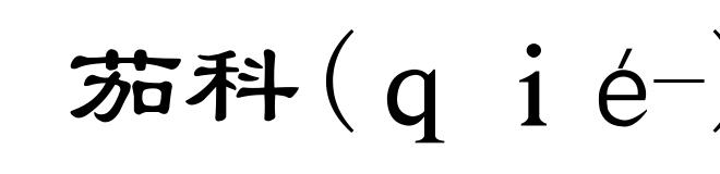 茄科(qié-)