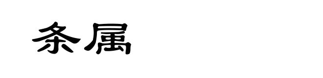 条属