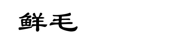 鲜毛
