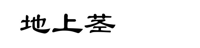 地上茎