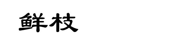 鲜枝