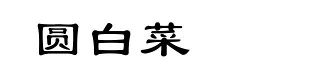 圆白菜