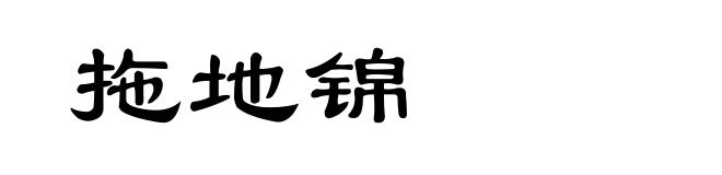拖地锦