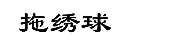 拖绣球