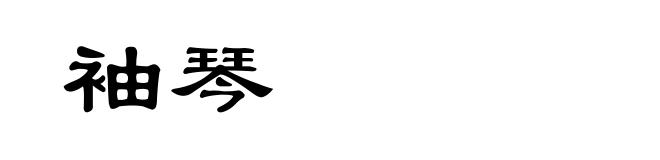 袖琴