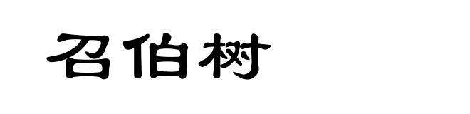 召伯树