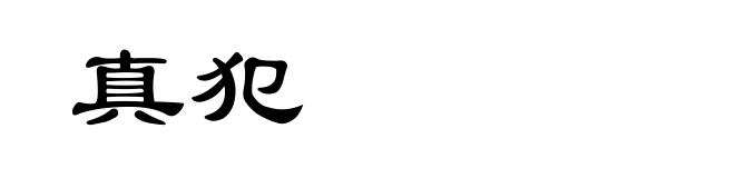 真犯