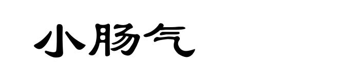 小肠气