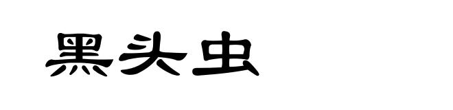 黑头虫