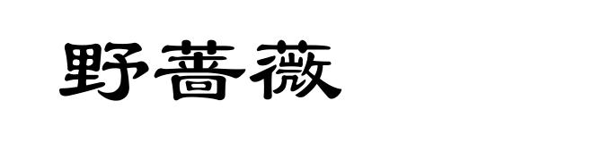 野蔷薇