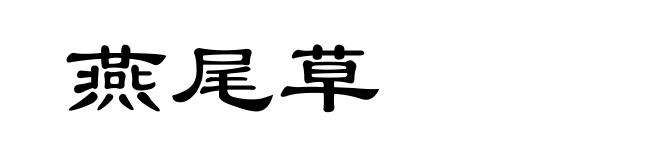 燕尾草