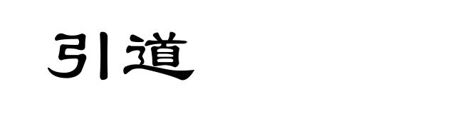 引道