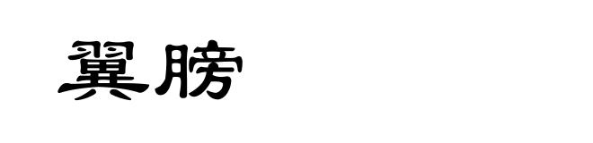 翼膀