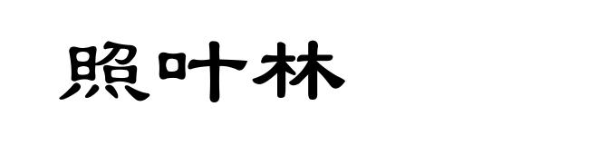 照叶林