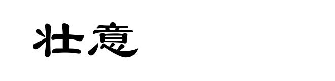 壮意