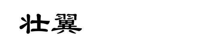 壮翼