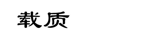 载质