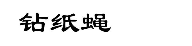 钻纸蝇