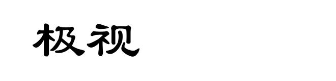 极视