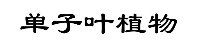 单子叶植物