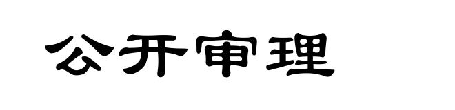 公开审理