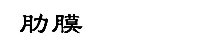 肋膜