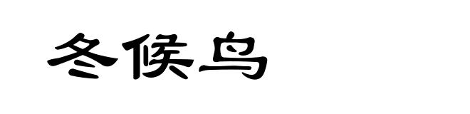 冬候鸟