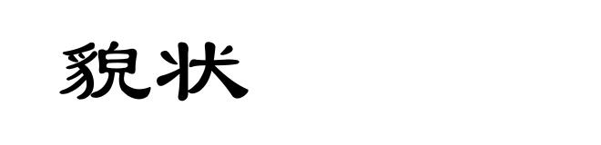 貌状