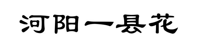 河阳一县花