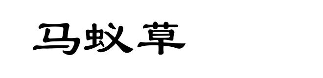 马蚁草