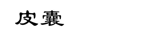 皮囊
