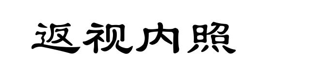 返视内照
