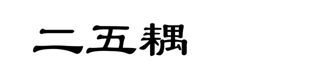 二五耦