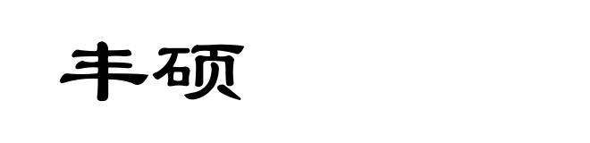 丰硕