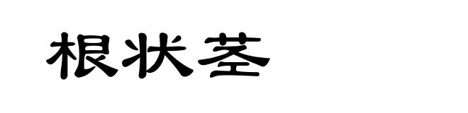 根状茎