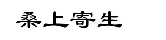 桑上寄生