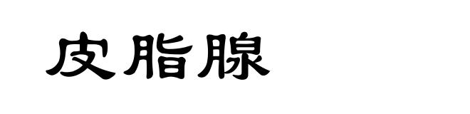 皮脂腺