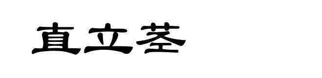 直立茎