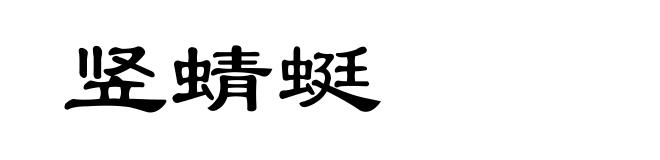 竖蜻蜓