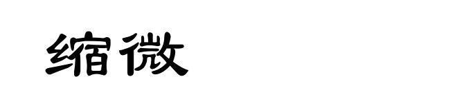 缩微