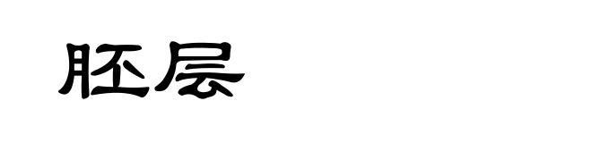 胚层